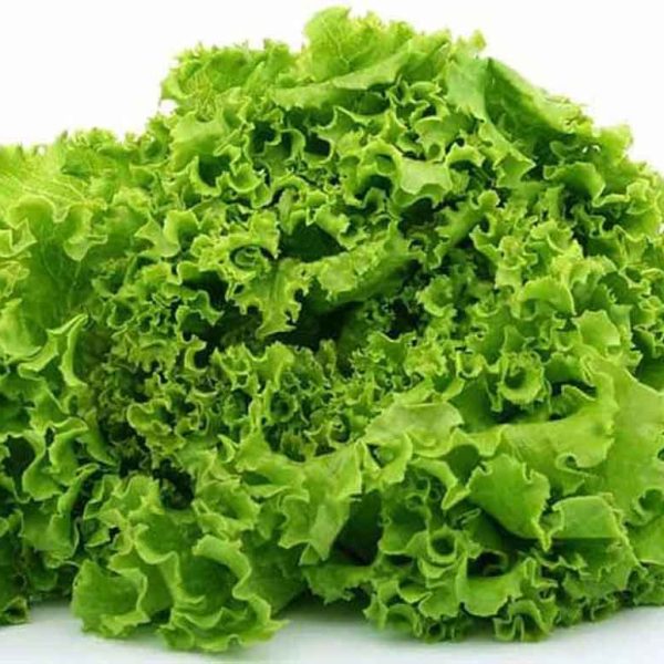 Lettuce