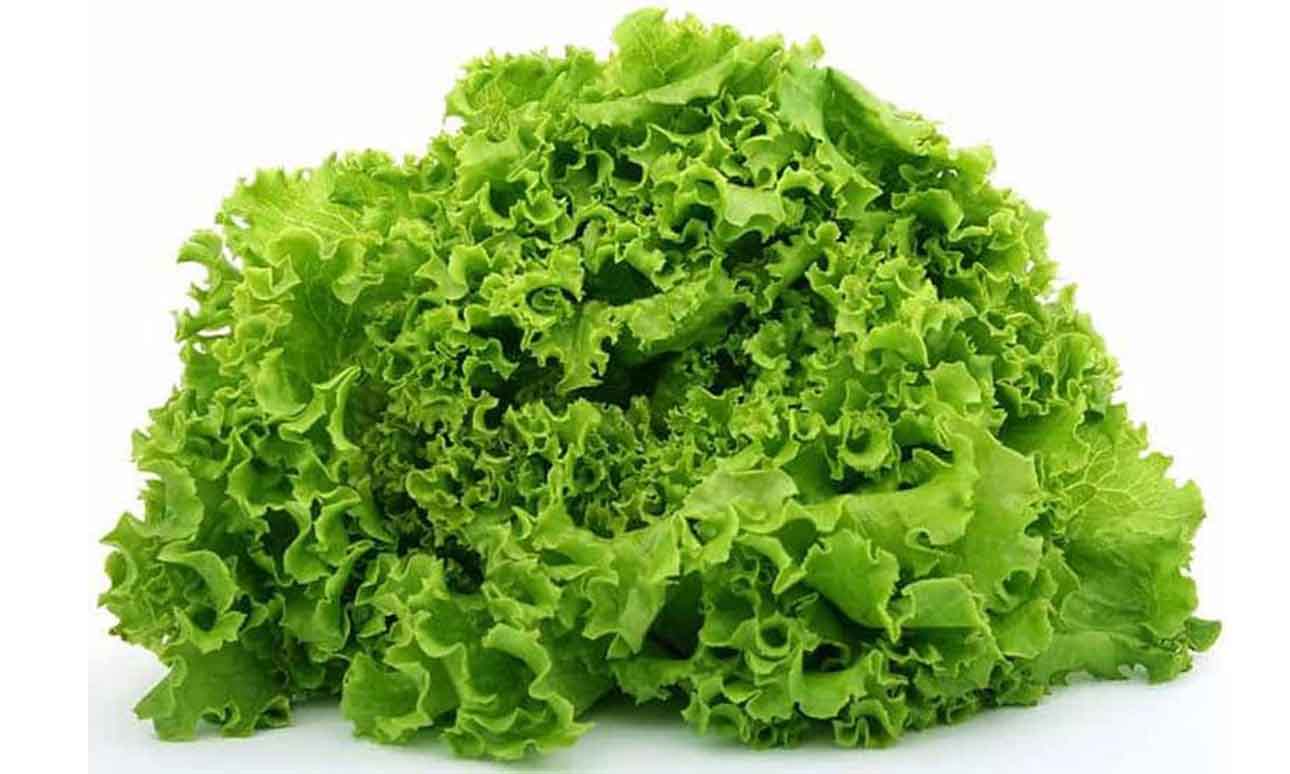 Lettuce
