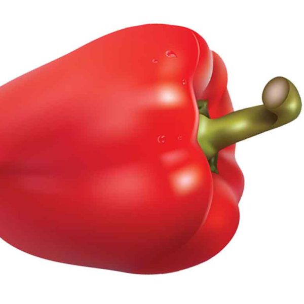 Fresh Organic Pepper