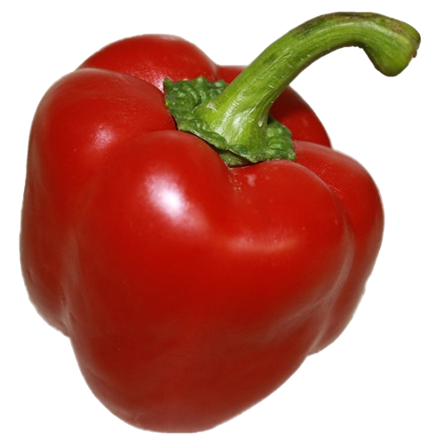 Organic Habanero Pepper