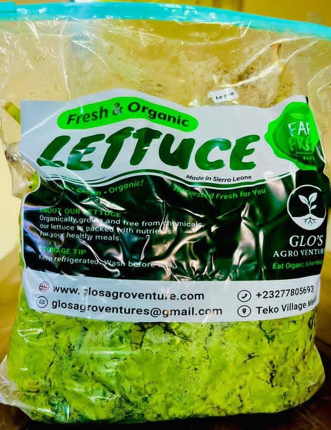 Organic Lettuce