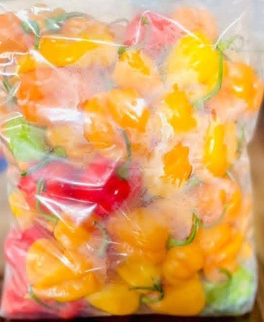 Organic Habanero Pepper